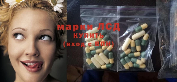 гидра Белокуриха