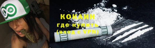 гидра Белокуриха