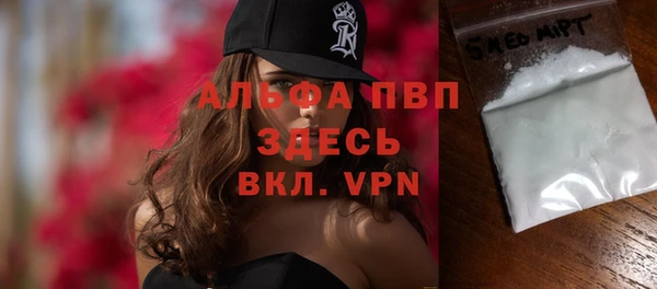 гидра Белокуриха