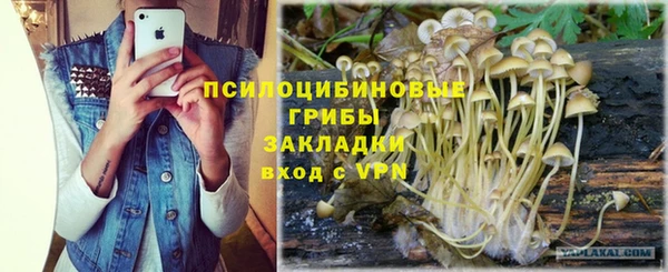 гидра Белокуриха