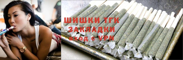 гидра Белокуриха