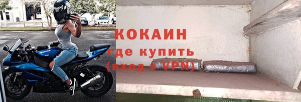 гидра Белокуриха